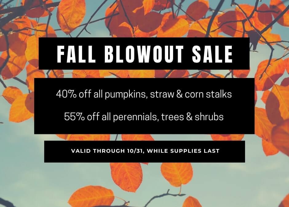 Fall Blowout Sale