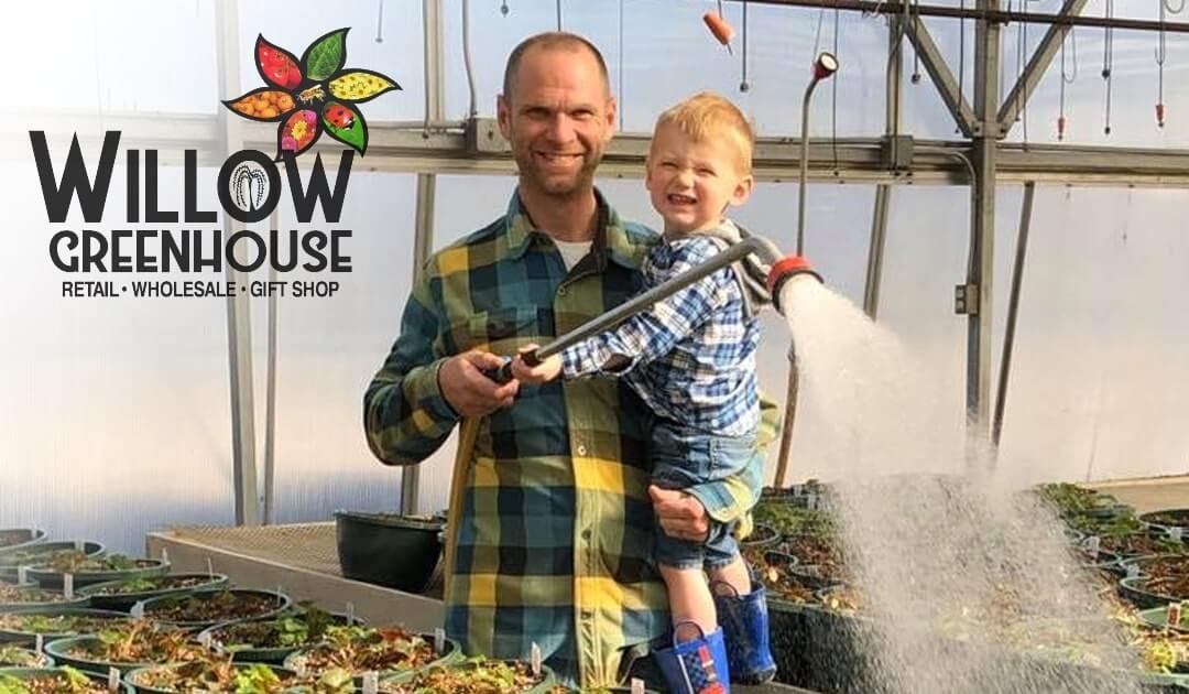 Watering Your Plants: Finding the Balance between Frequency and Quantity