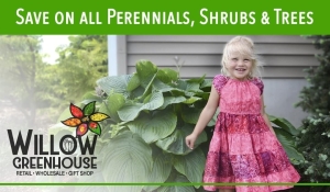 Perennial, Shrub, and Tree Sale