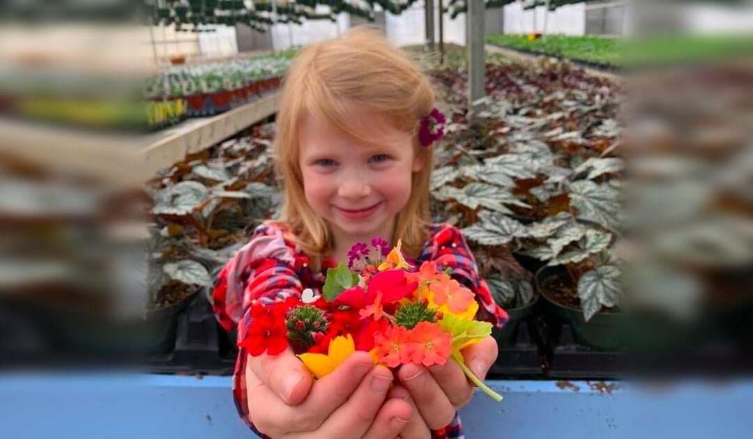 In-Greenhouse Sales Only May 8 – 10