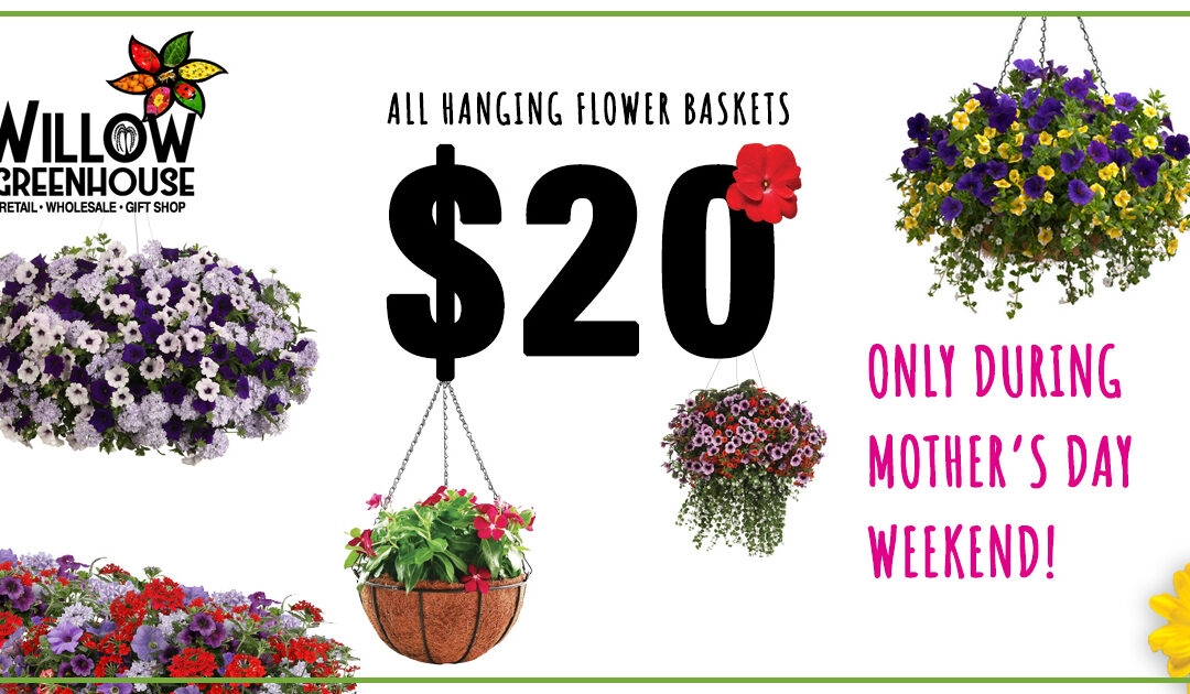 Mother’s Day Hanging Basket Sale