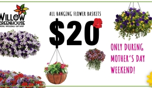 Mother’s Day Hanging Basket Sale