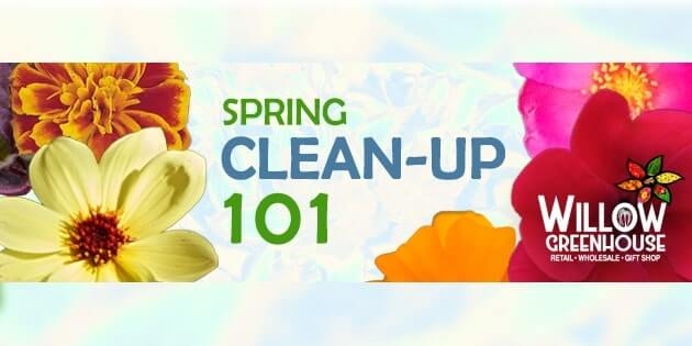 Spring Cleanup 101