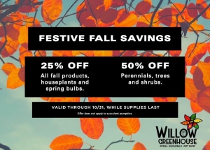 Festive Fall Seasonal Specials