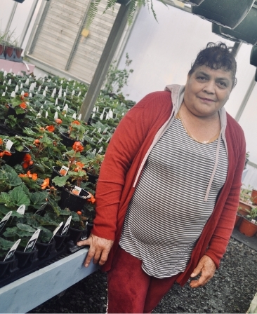 <p>Estella came to Willow Greenhouse in 2018 with Theresa and Enrique. Estella is admired for her strong worth ethic, always working tirelessly on any tasks given to her and always working with a smile. Estella Loves to stay busy and loves to contribute to all aspects of planting, watering, and taking care of Willows plants. She may be quiet, but she has a big heart and a fierce sense of loyalty.</p>

<p><strong>Fun Fact: She had 12 kids and she still looks like a fox.</strong></p>
