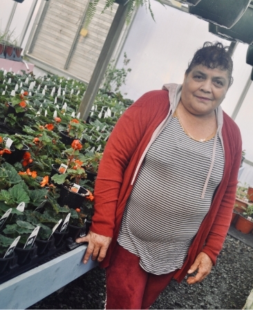 <p>Estella came to Willow Greenhouse in 2018 with Theresa and Enrique. Estella is admired for her strong worth ethic, always working tirelessly on any tasks given to her and always working with a smile. Estella Loves to stay busy and loves to contribute to all aspects of planting, watering, and taking care of Willows plants. She may be quiet, but she has a big heart and a fierce sense of loyalty.</p>
<p><strong>Fun Fact: She had 12 kids and she still looks like a fox.</strong></p>