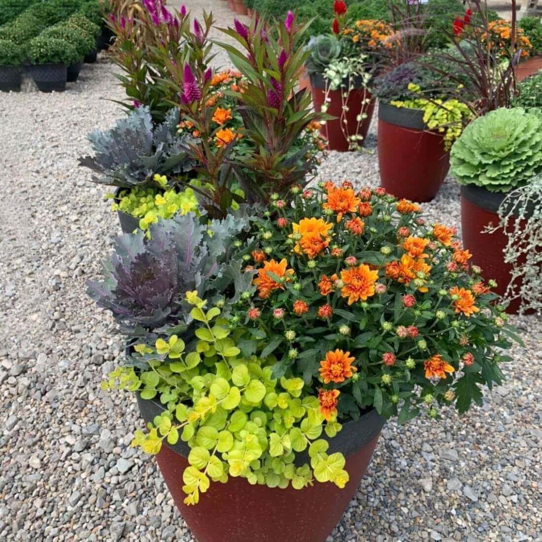 Gift Cards - Willow Greenhouse - customorders1