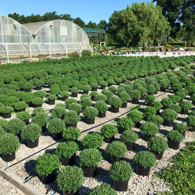Northville Landscape Garden Center | Design & Build Services - designbuild2