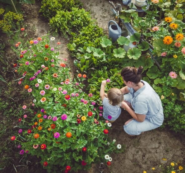 Local Greenhouse & Nursery | Northville, MI | Willow Greenhouse - GreenScene